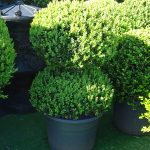 Multiball Topiary people